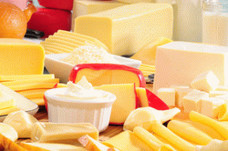 cheese_processing